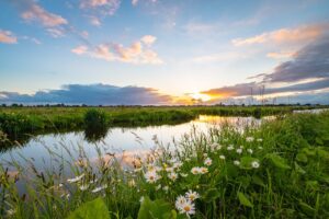 Divorce Mediation – Choosing the Right Mediator for Your Divorce
