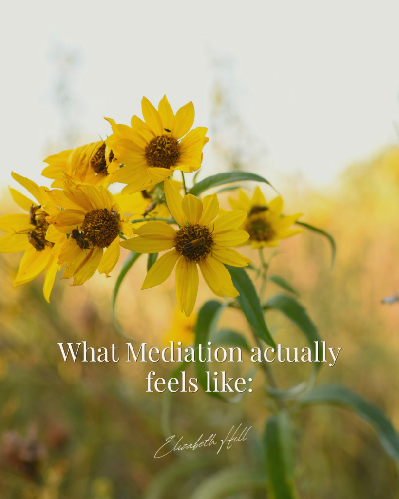 mediation with sunflowers